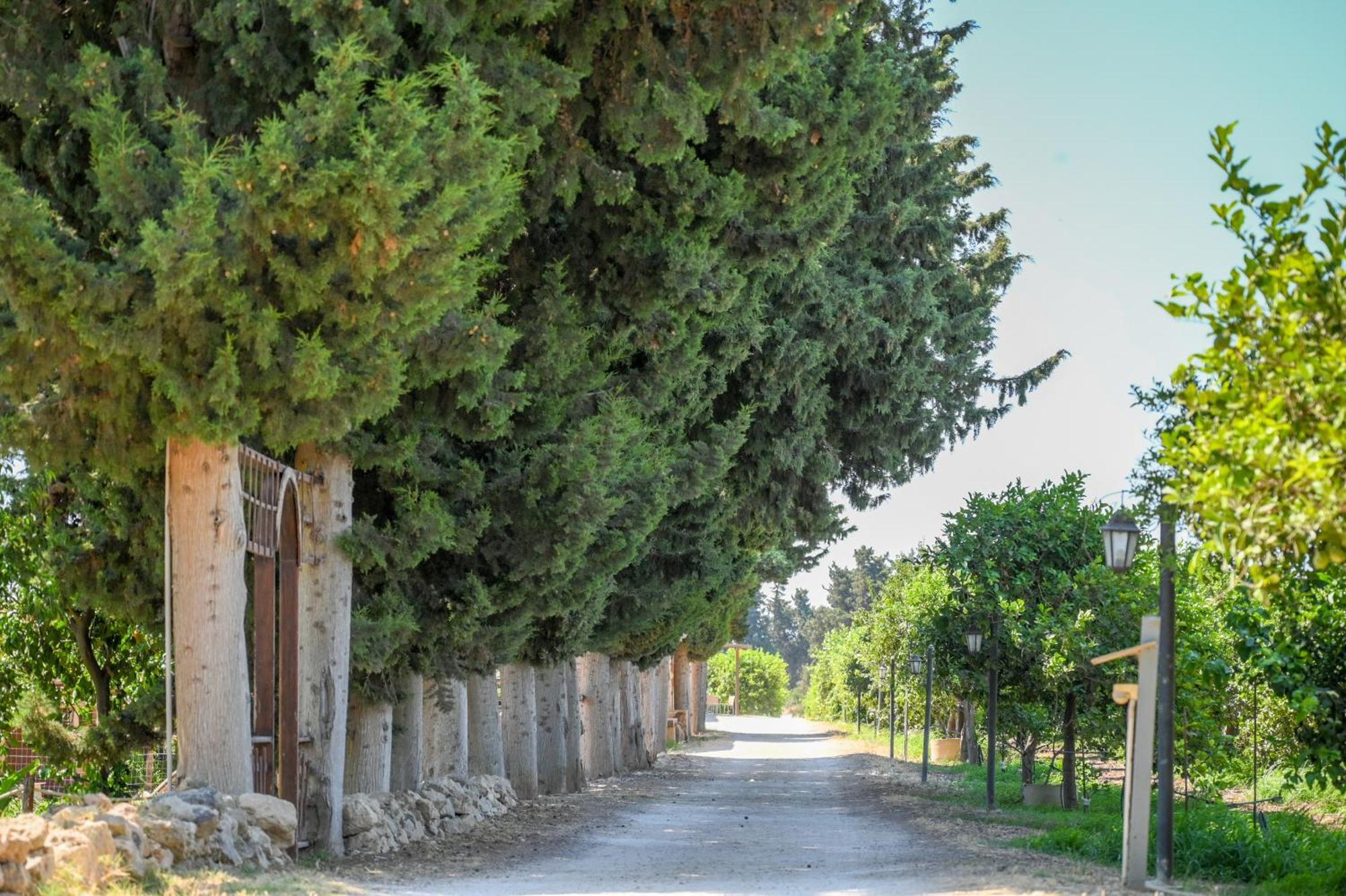 Agriturismo Torre Vendicari Noto Luaran gambar